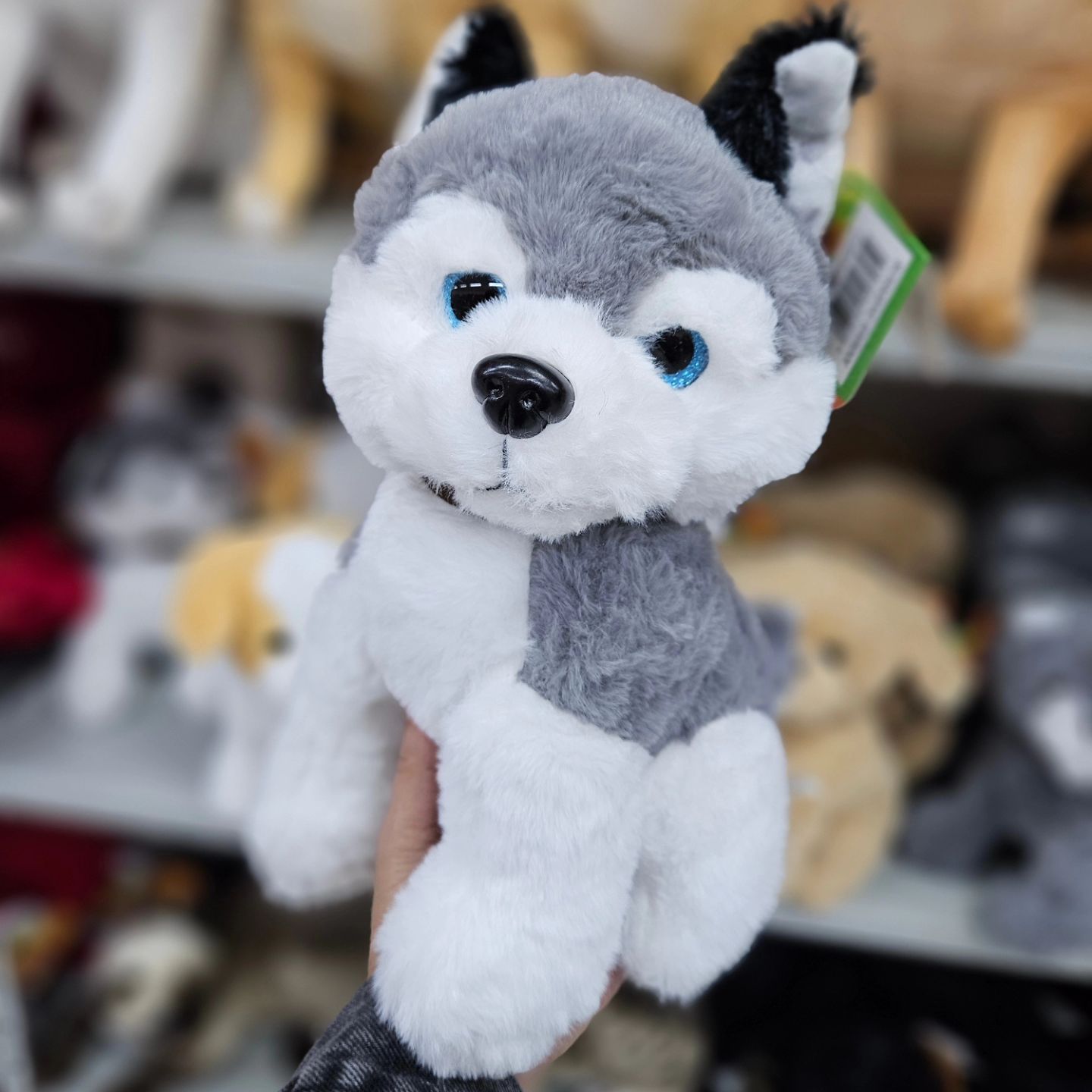 Cachorro de Pelúcia