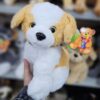 Cachorro de Pelúcia